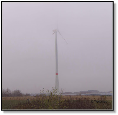 Windrad im Nebel