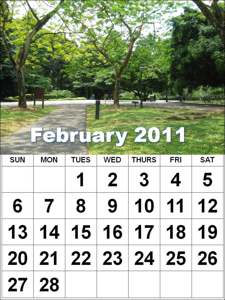 printable yearly calendar 2011. January Calendar 2011 scenery