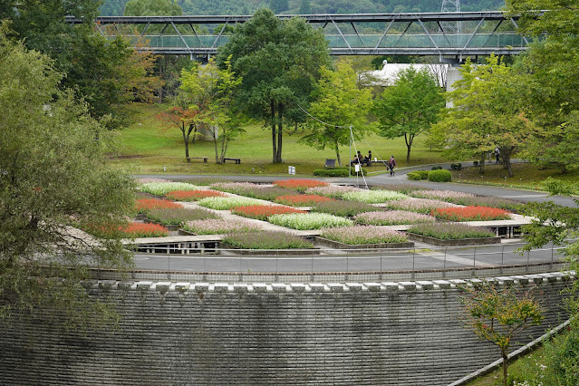 鳥取県西伯郡南部町鶴田　とっとり花回廊　水上花壇