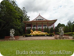 DSC00880