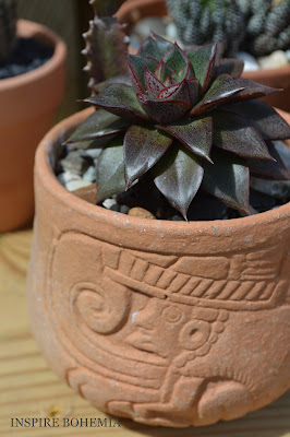 Terracotta Succulent Pot - Designer Cactus and Succulent Planters Garden Design Inspire Bohemia - Miami and Ft. Lauderdale Succulent Business