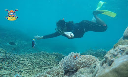 Snorkeling di Ujung Kulon