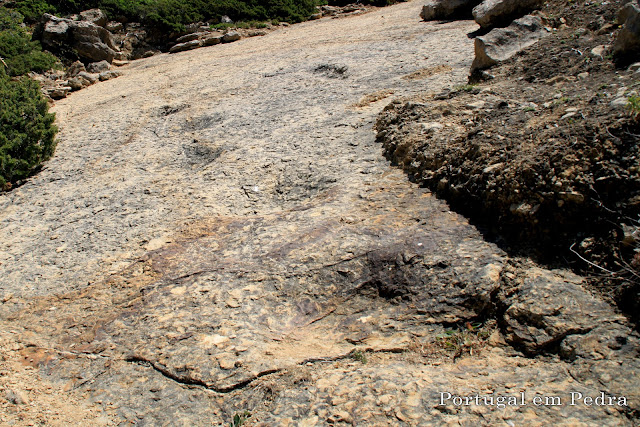 Monumento Natural dos Lagosteiros - trilho