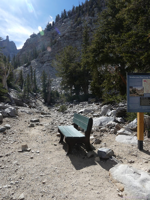 29: bench and sign