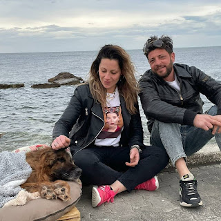 El último viaje de un perro paralítico abandonado