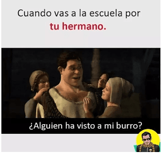 10 Memes de Sherk