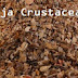 BAJA CHITOSAN - KEBAIKAN