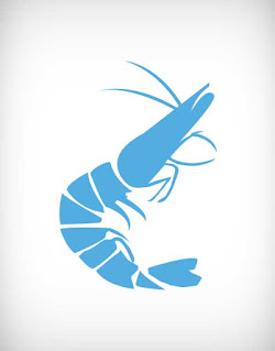 চিংড়ি মাছ, shrimp, prawn, crayfish, black tiger, cat tiger, harina, white prawn, chaka, mollusk, sea food, fish processing, harvest, marine product