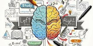 Knowledge of the Difference Between Right Brain and Left Brain