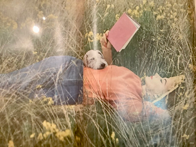 Model relaxing, reading in the grass