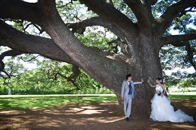 Moanalua Weddings