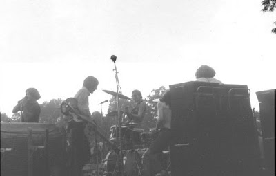 mandrake_memorial,psychedelic-rocknroll,1968,poppy,medium,puzzle,harpsicord,live