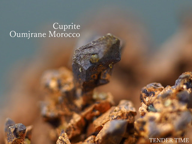 Cuprite Cuprite Oumjrane Morocco