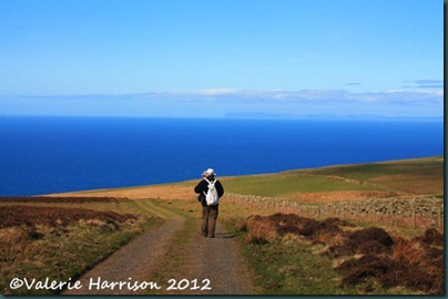 12-coast-path