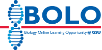 BOLO Project Logo - www.bologsu.us/BOLO