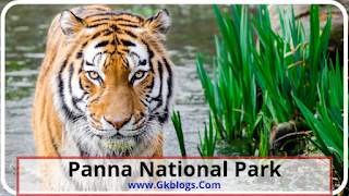 पन्ना राष्ट्रीय उद्यान : Panna National Park