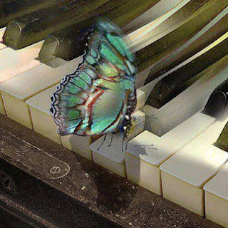 butterfly on piano