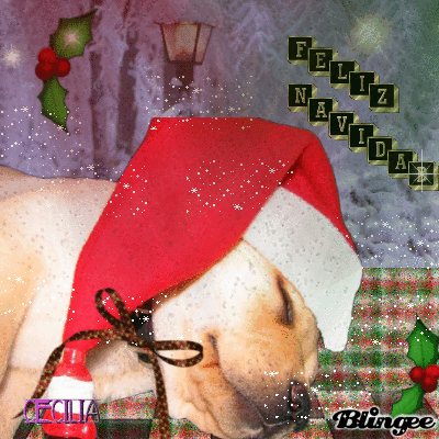 gifs navidad blogimagenes (10)