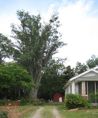 Street view after.