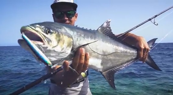 International Fishing News: VIDEO: lure fishing for leerfish from
