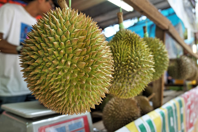 Balik Pulau Durian