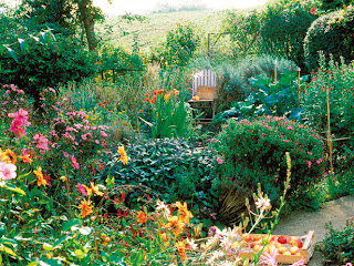 overview of late summer garden