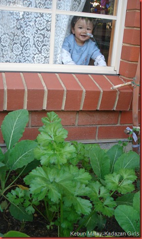 celery peekaboo (1)