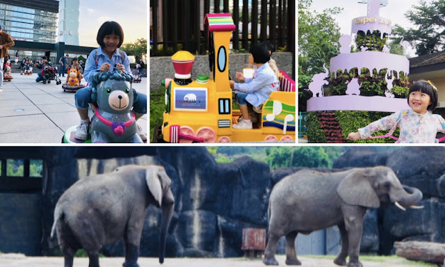 完全放電 - 木柵動物園 + 信義區空中銅板遊戲區/溜滑梯、森林小火車、電動小車 | 台北親子景點-IMG_0073