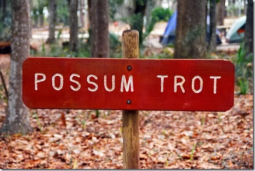 Possum Trot