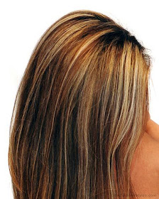 Brown Hair with Blonde Highlights-2.bp.blogspot.com