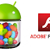 Adobe Flash Player Installation for Android Jelly Bean Devices - Tutorial & Guide