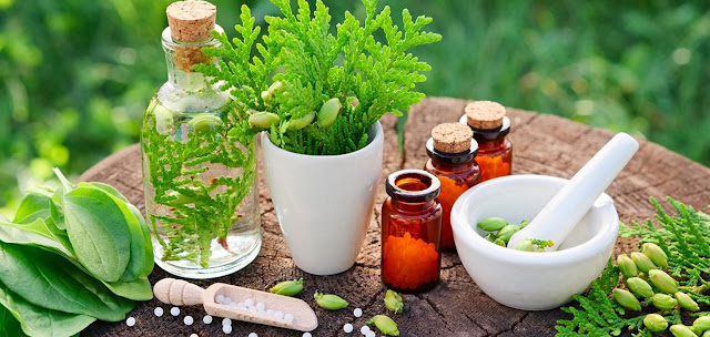 Herbal Extract Market