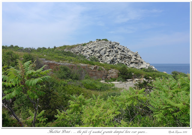 Halibut Point: ... the pile of wasted granite dumped here over years...