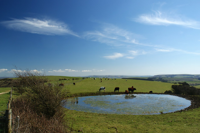 south downs landscape blue sky