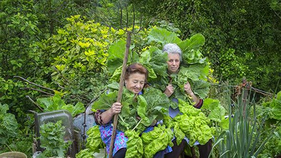 Botánica Insólita, una feria para descubrir el mundo vegetal