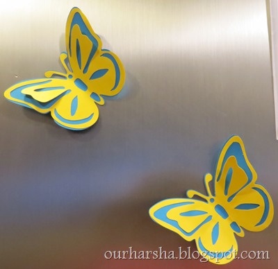 colorful butterflies (9)