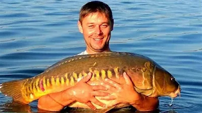 рибалка спіймав коропа