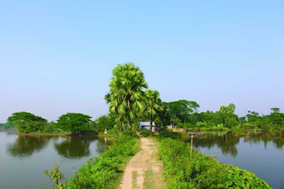 মুক্তিযুদ্ধের ইতিহাসের সাক্ষী দাউদকান্দি