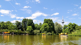 Godolettas und Karpfen im Luisenpark Mannheim