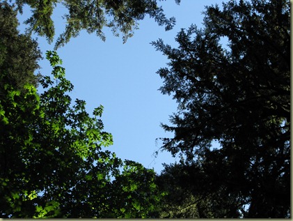 OxBow Park Picnic 026