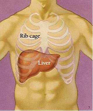 Health Tips: Liver damage