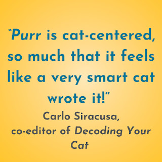 Purr is cat-centered, so much that it feels like a very smart cat wrote it