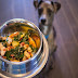 Do Not Feed This Food For Your Dogs Ever