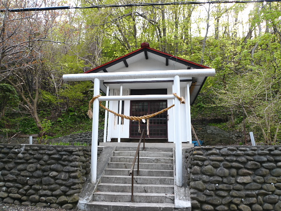 P1070803.jpg