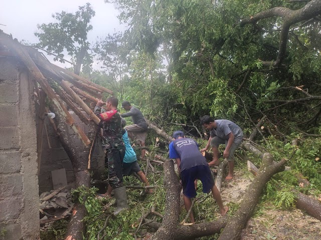 Babinsa Mranggen bersama BPBD dan warga setempat Evakuasi pohon tumbang timpa rumah warga.