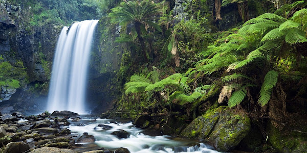 The view of the beautiful waterfall is cool and fresh