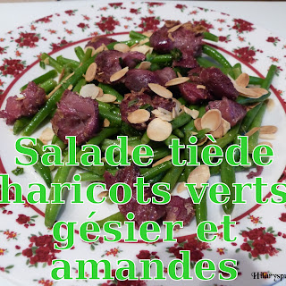 http://danslacuisinedhilary.blogspot.fr/2013/10/salade-de-haricots-verts-aux-gesiers.html