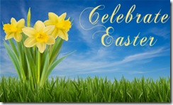 daffodilcopy08021794238090217111737
