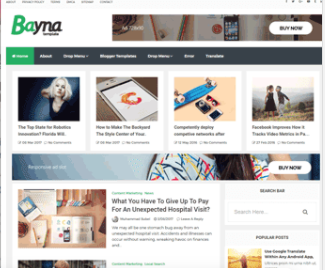 Bayna Premium Blogger Template Free Download/Premium By Free