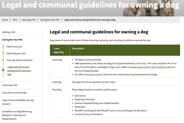 Legal and Communal Guidelines for Owning a Dog